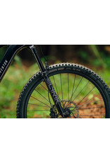 Aventon Aventon Current EXP, XL- Glacier Mint