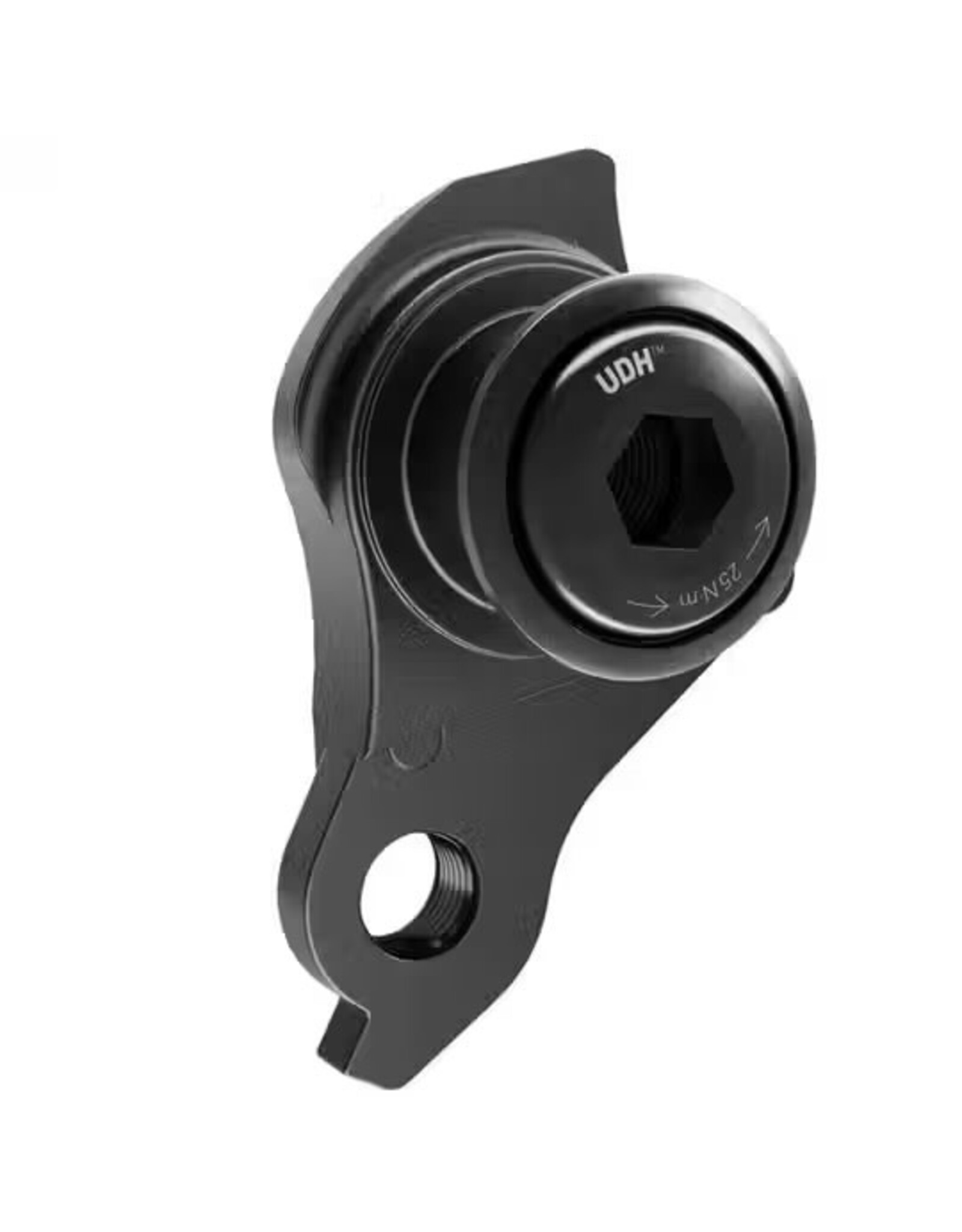 SRAM SRAM Universal Derailleur Hanger (UDH) - Aluminum, Black
