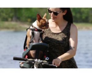 buddy-rider-buddy-rider.jpg