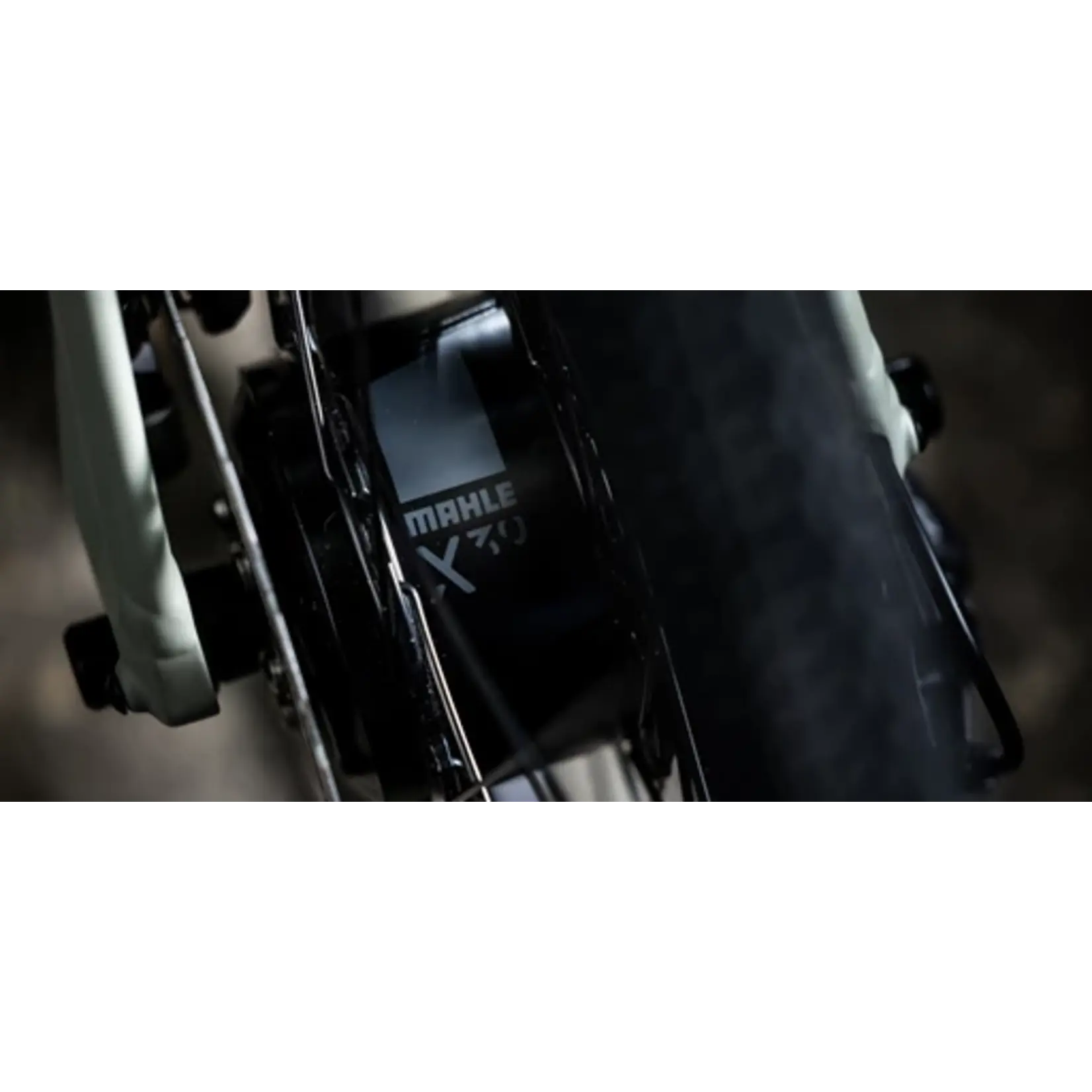 Devinci Devinci E-Hatchet Tour FB Cues