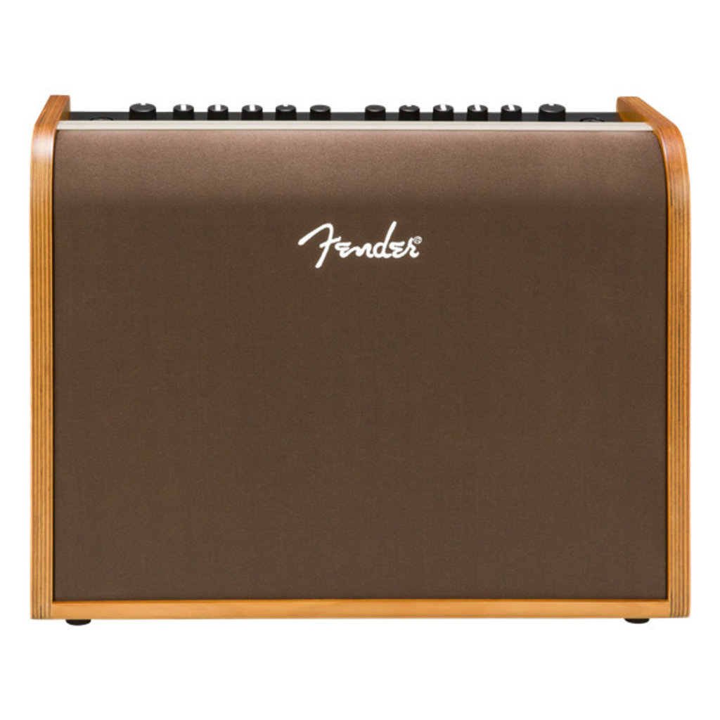 Fender Fender Acoustic 100 Amp