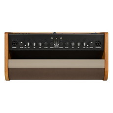 Fender Fender Acoustic 100 Amp