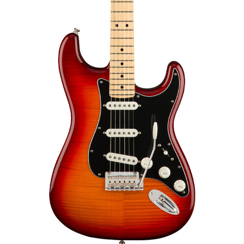 Fender Fender Player Stratocaster +top MN - Aged Cherry Burst