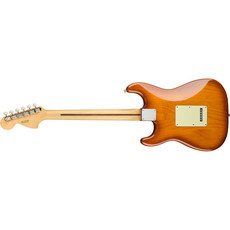 Fender Fender American Performer Stratocaster RW - Honey Burst