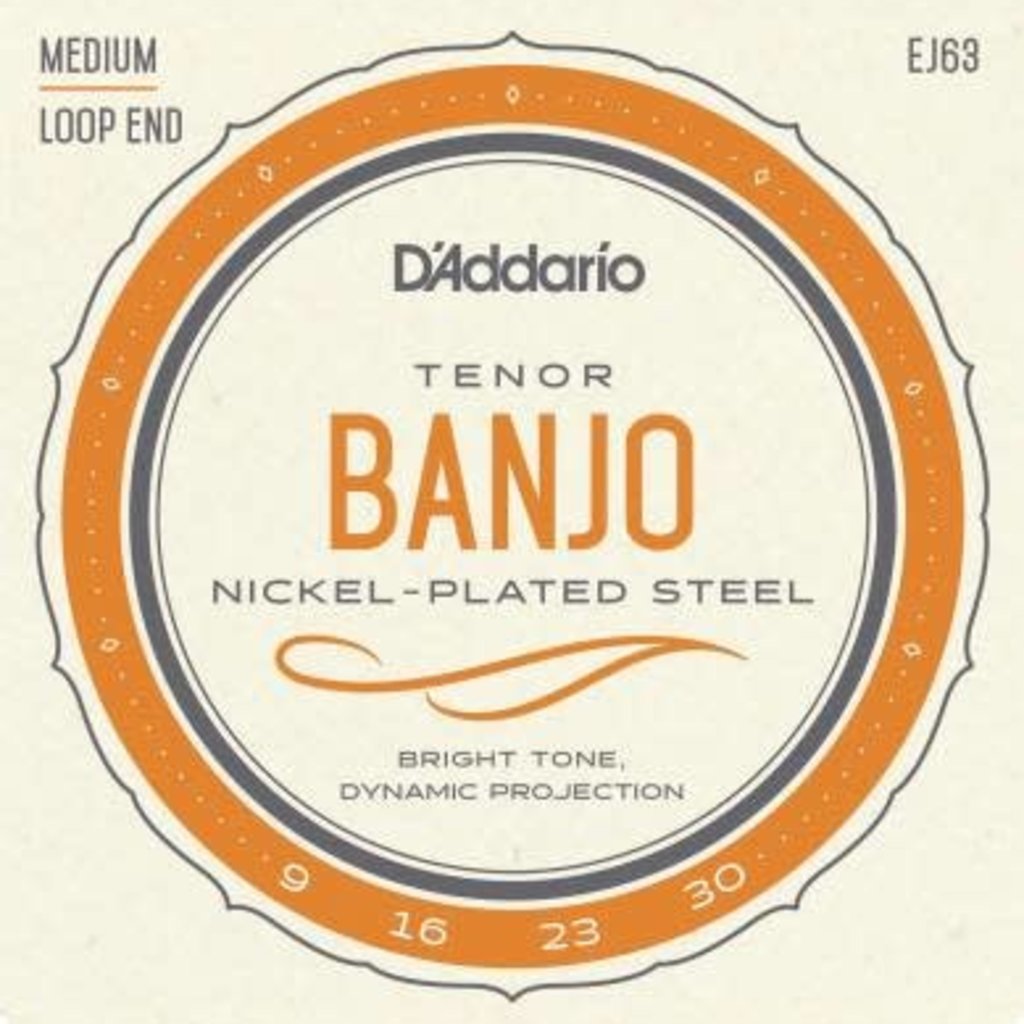 D'addario D'Addario EJ63 Tenor Banjo Nickel Plated Strings - Medium Loop End