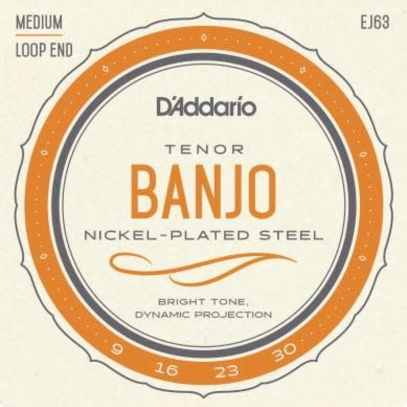 D'addario D'Addario EJ63 Tenor Banjo Nickel Plated Strings - Medium Loop End