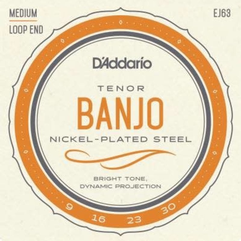 D'addario D'Addario EJ63 Tenor Banjo Strings Medium Loop End