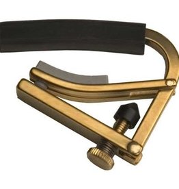Shubb Gold Capo Shubb C1G