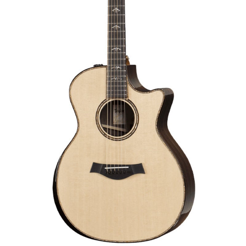 Taylor Guitars Taylor 914ce Acoustic
