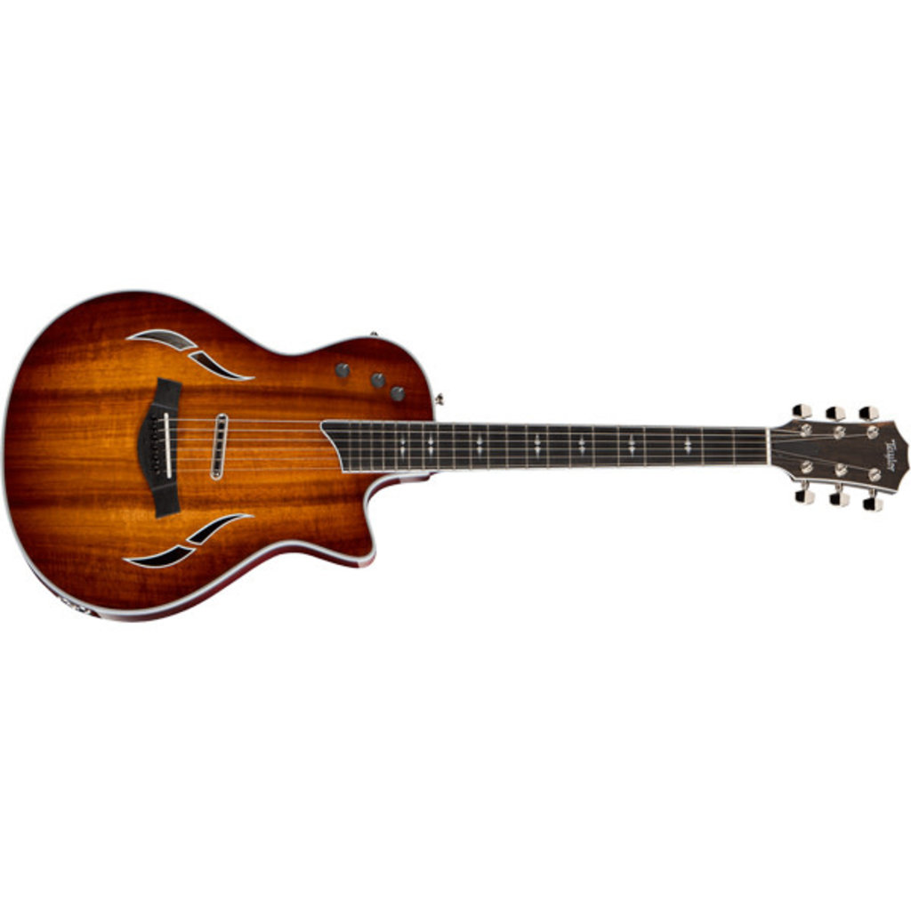 Taylor Guitars Taylor T5z Custom Koa