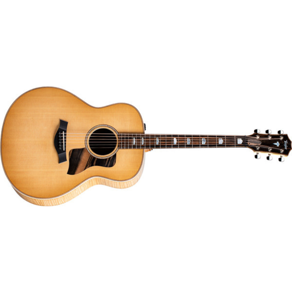 Taylor Guitars Taylor 618e