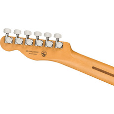Fender Fender Player Plus Nashville Telecaster MP - Butterscotch Blonde