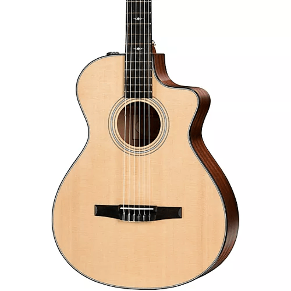 Taylor Guitars Taylor 312ce-N Classical
