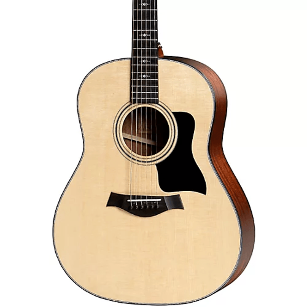 Taylor Guitars Taylor 317e Acoustic Guitar