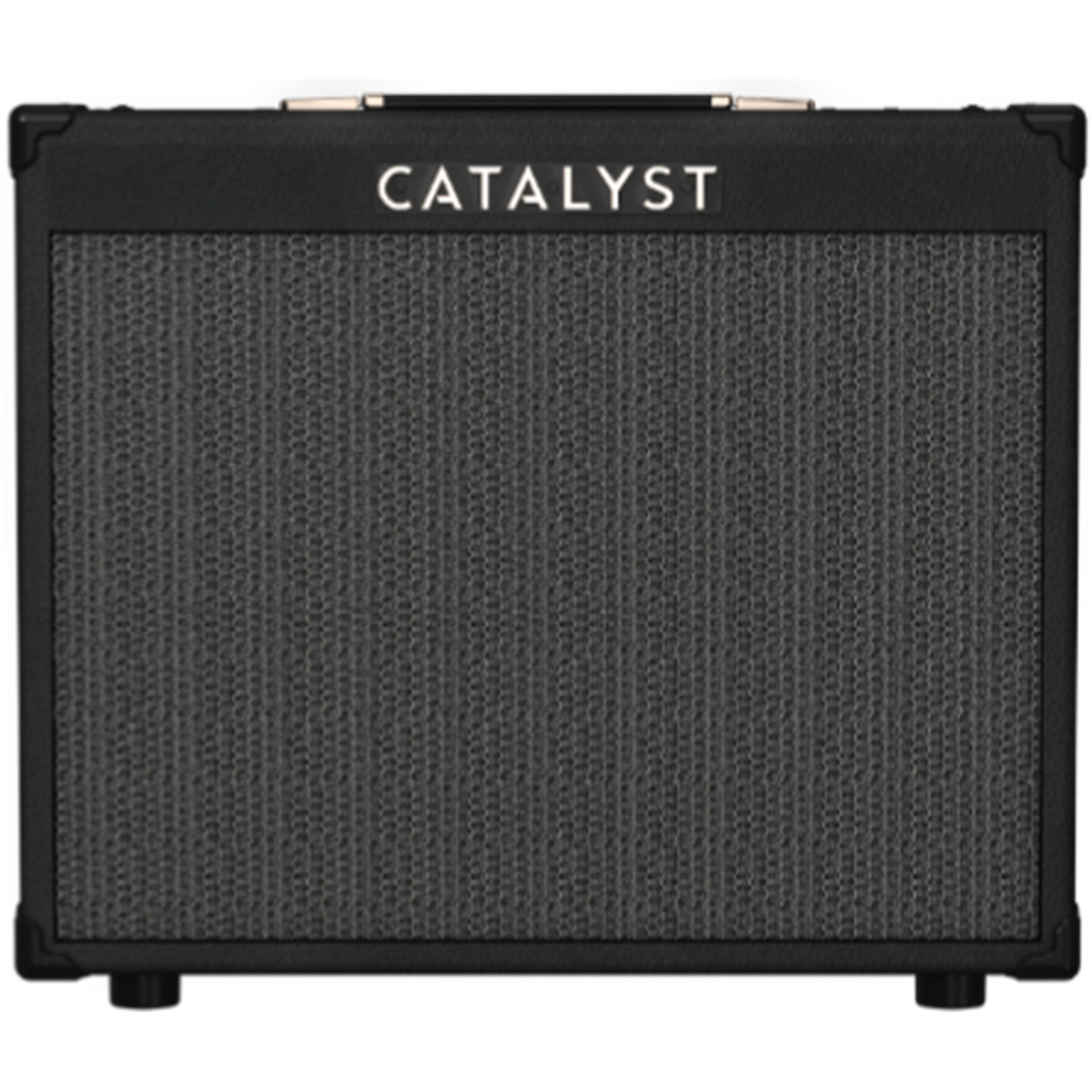 Line 6 - Catalyst 100 Amp