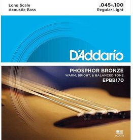 D'addario D'Addario EPBB170 Phosphor Bronze Acoustic Bass Strings