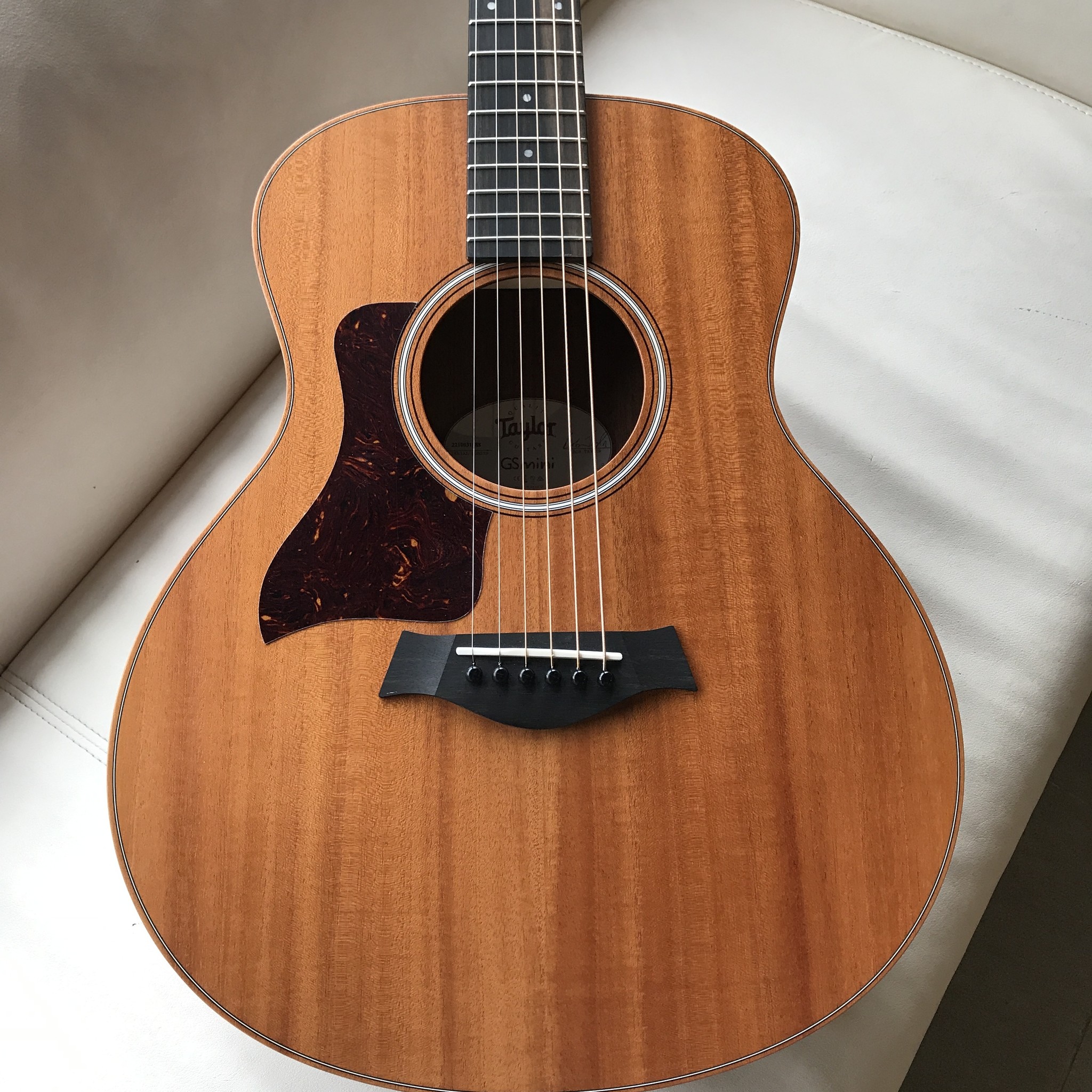 Taylor GS Mini Mahogany Left Handed