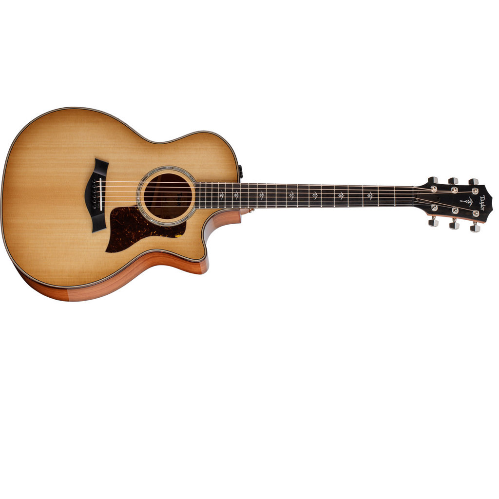 Taylor Guitars Taylor 514ce Acoustic Guitar