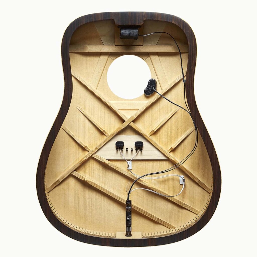 LR Baggs HiFi Acoustic Pickup System