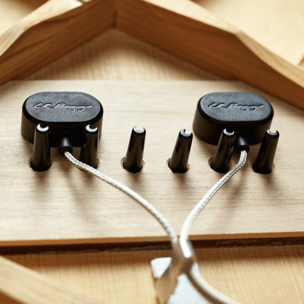 LR Baggs HiFi Acoustic Pickup System