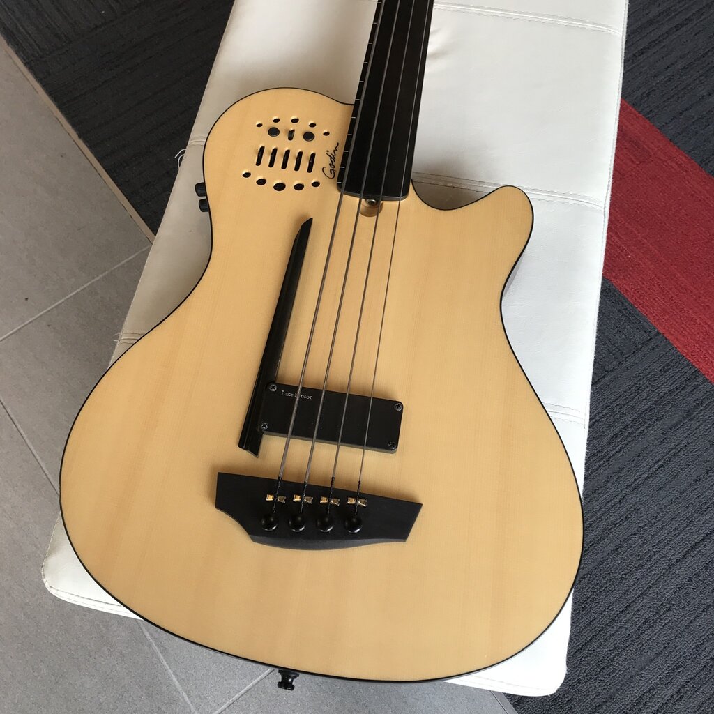 Consignment/Used Godin A4 Ultra Fretless Bass w/Bag