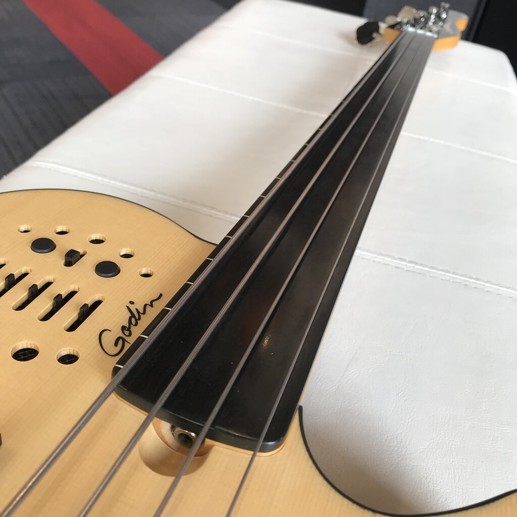 Consignment/Used Godin A4 Ultra Fretless Bass w/Bag