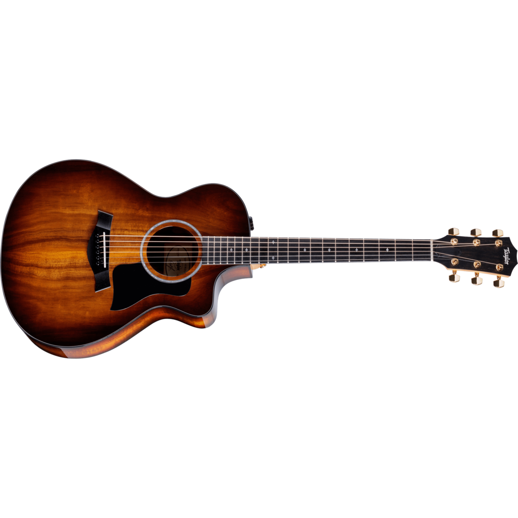 Taylor Guitars Taylor 222ce-K DLX Acoustic Guitar