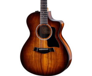 taylor-guitars-taylor-222ce-k-