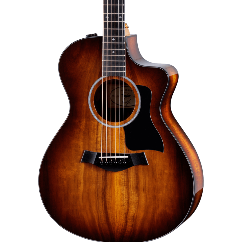 Taylor Guitars Taylor 222ce K Dlx Acoustic