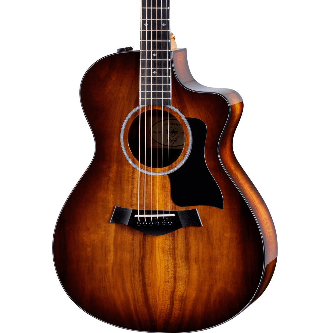 taylor-guitars-taylor-222ce-k-