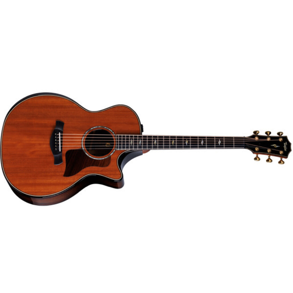 Taylor Guitars Taylor 814ce 50th Anniversary Acoustic Builders Edition