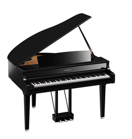 Yamaha Yamaha CLP 895GP PE Clavinova Digital Piano (Polished Ebony)