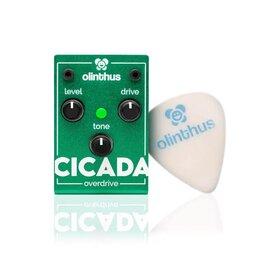 D'addario Olinthus CICADA Overdrive Pedal