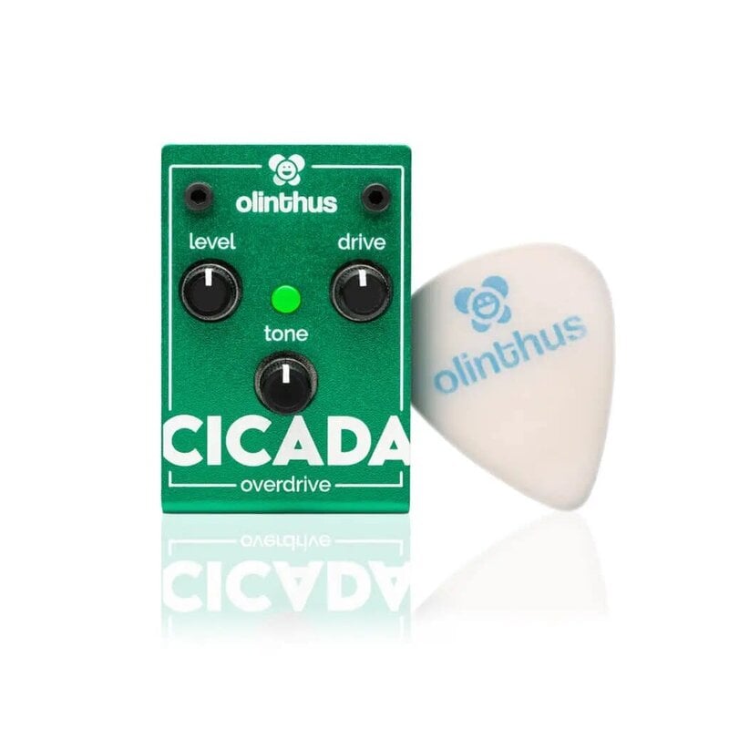 D'addario Olinthus CICADA Overdrive Pedal