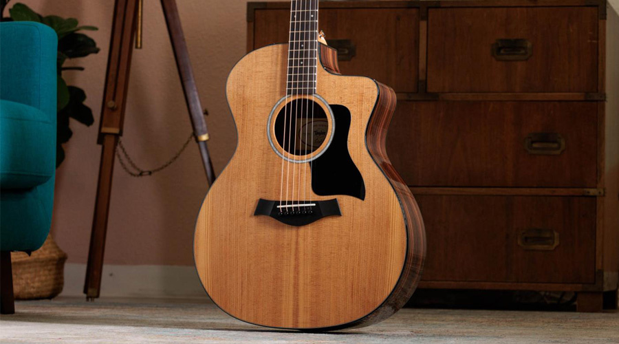 Why is the Taylor 214ce so popular?