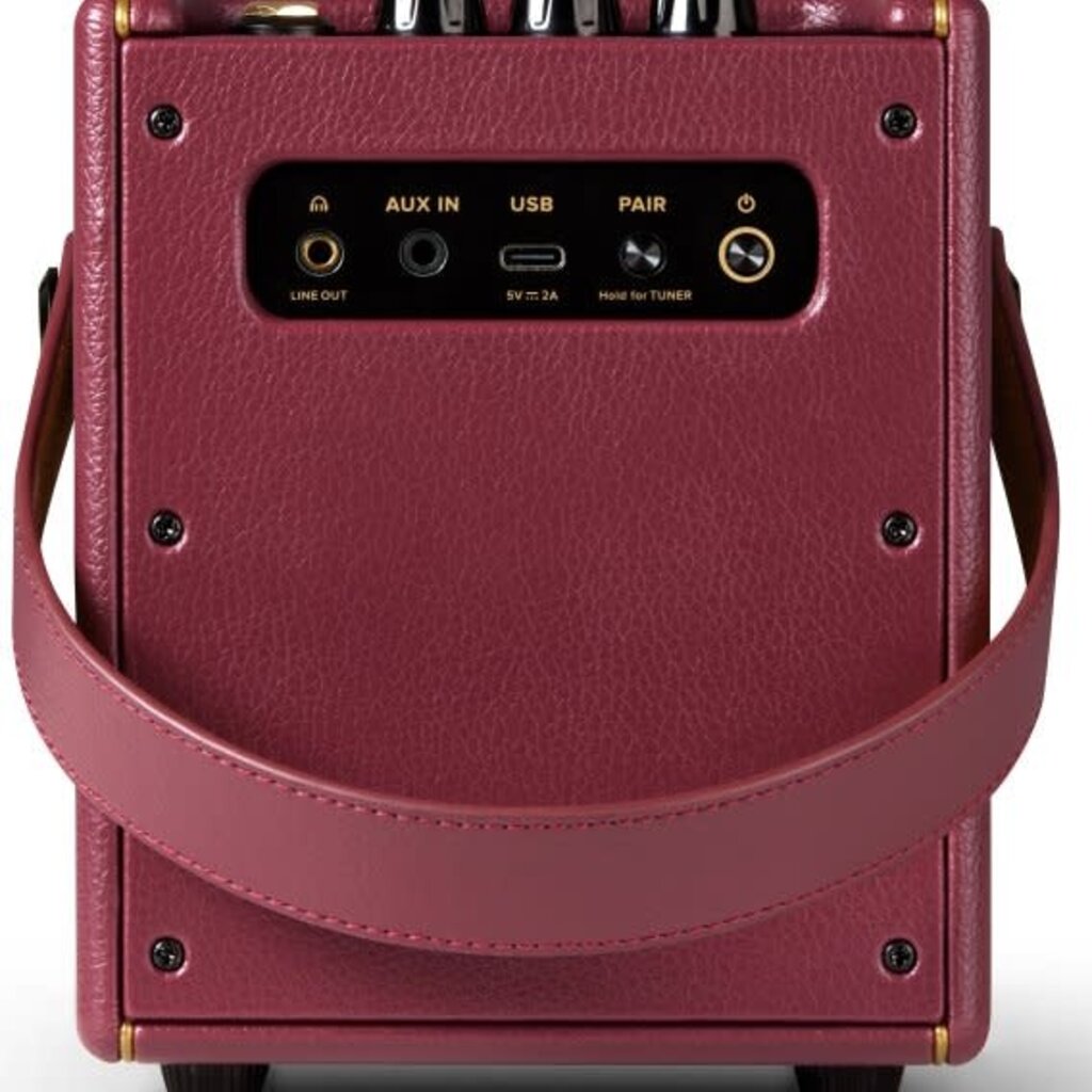 Positive Grid Positive Grid Spark Mini Steve Vai Special Edition