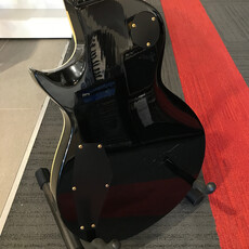 Consignment/Used ESP LTD EC-256