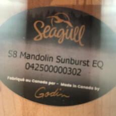 Seagull Consignment/Used Seagull S8 Mandolin Sunburst EQ - w/Bag