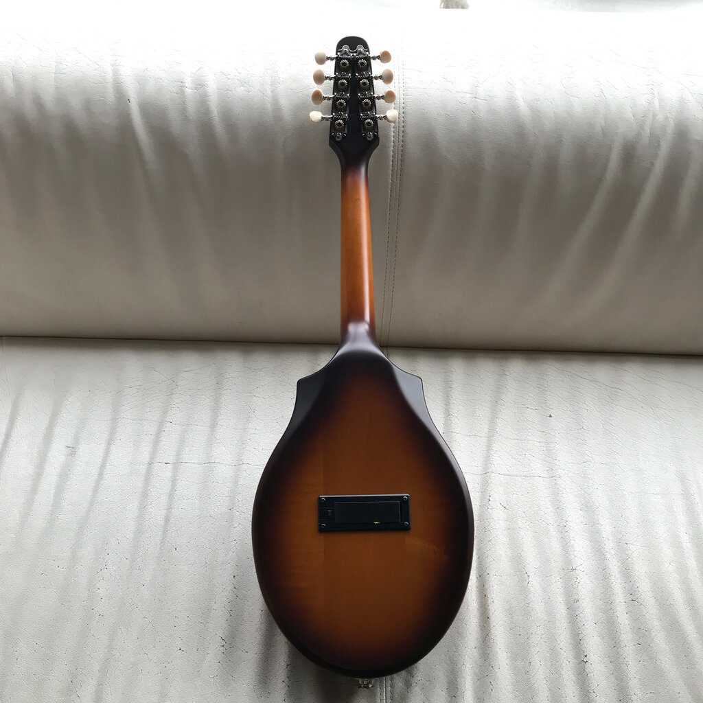 Seagull Consignment/Used Seagull S8 Mandolin Sunburst EQ - w/Bag