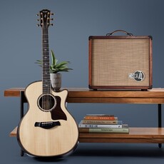 Taylor Guitars Taylor Circa 74 AV150-10 Acoustic Amplifier and Vocal System Mahogany w/Stand