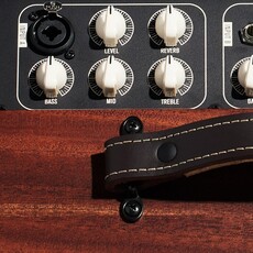 Taylor Guitars Taylor Circa 74 AV150-10 Acoustic Amplifier and Vocal System Mahogany w/Stand