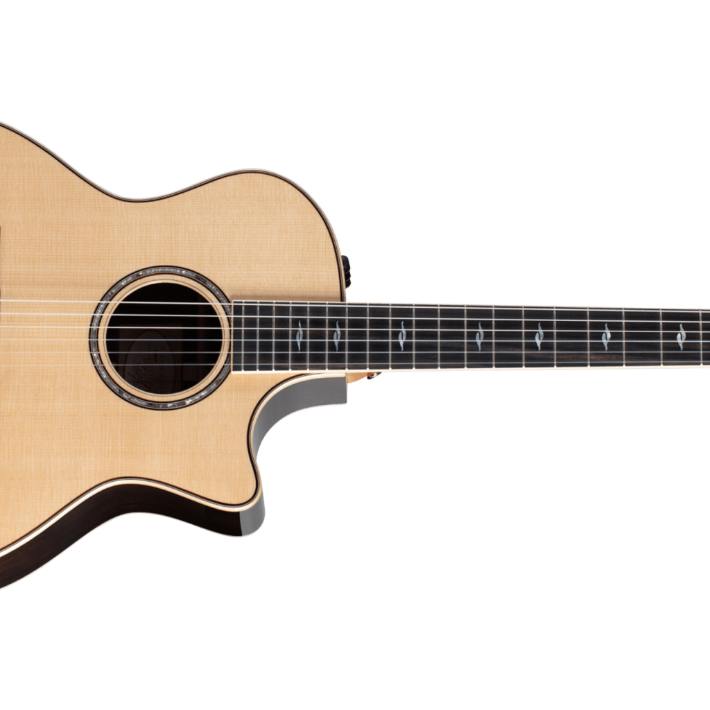 Taylor Guitars Taylor 814ce-N