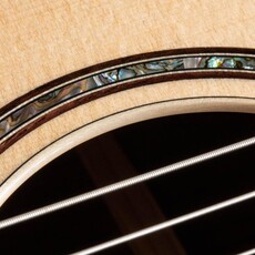 Taylor Guitars Taylor 814ce-N