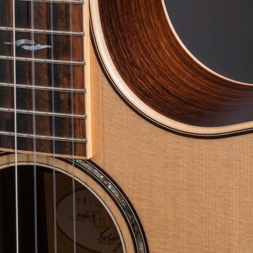 Taylor Guitars Taylor 814ce-N
