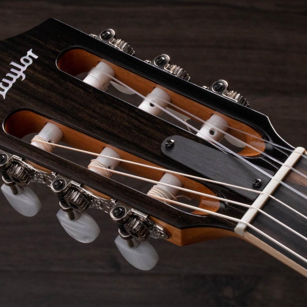 Taylor Guitars Taylor 814ce-N