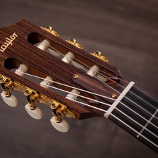 Taylor Guitars Taylor Jason Mraz  Signature Model JMSM