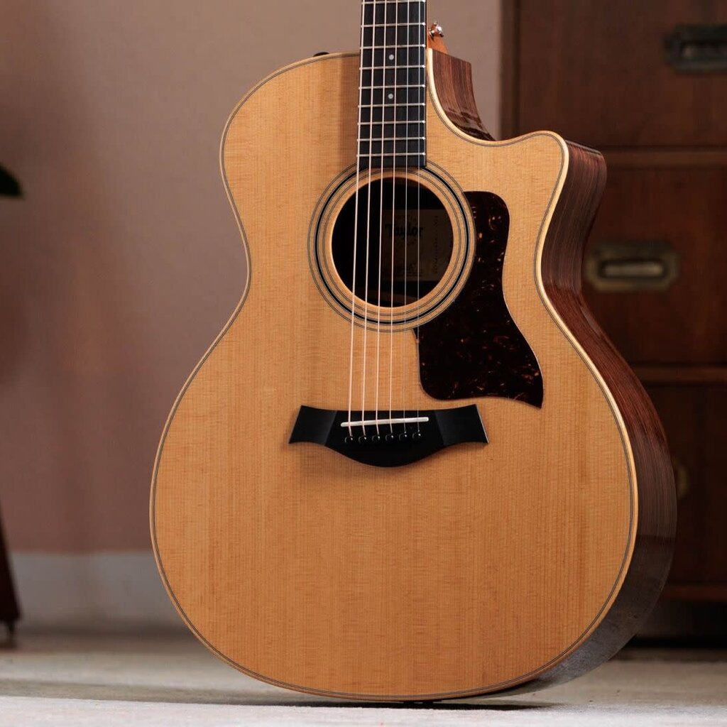 Taylor Guitars Taylor 414ce Studio Natural