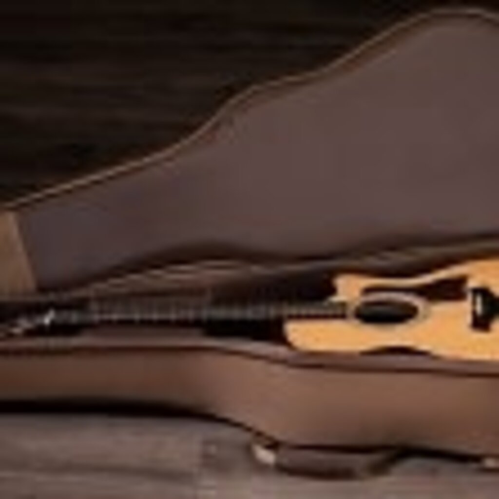 Taylor Guitars Taylor 414ce Studio Natural