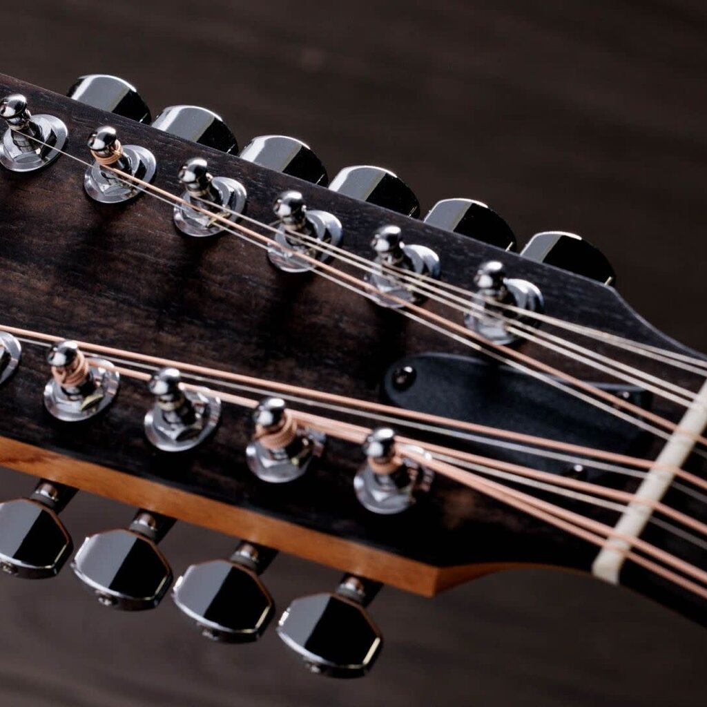 Taylor Guitars Taylor 254ce Plus 12 String