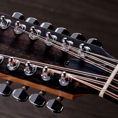 Taylor Guitars Taylor 254ce Plus 12 String